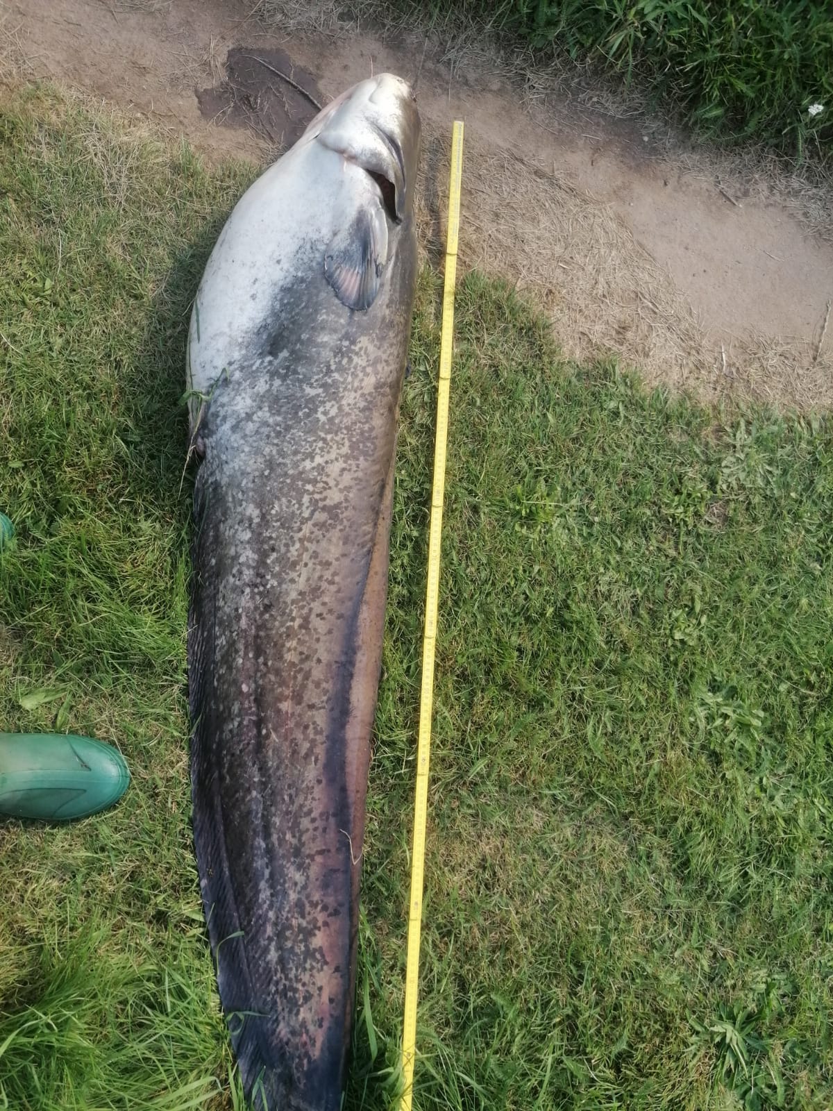 Sauerstoffmangel 2023